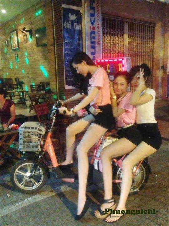 再见路星河